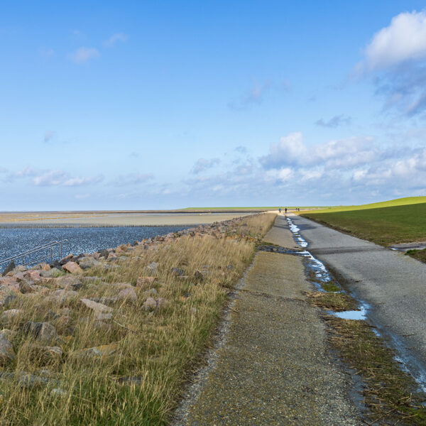 Erlebe Büsum, Kreis Dithmarschen, Schleswig-Holstein, Nordsee